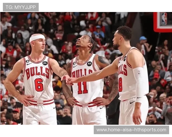 公牛队逐步崭露头角，迎接未来，公牛队是啥